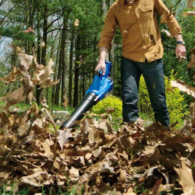 Kobalt 24-Volt Max Cordless Power Equipment Combo Kit With Leaf Blower And String Trimmer With Battery And Charger 1 Kobalt 24-Volt Max Cordless Power Equipment Combo Kit With Leaf Blower And String Trimmer With Battery And Charger